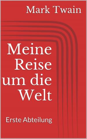 Cover of the book Meine Reise um die Welt – Erste Abteilung by Michael Ziegenbalg