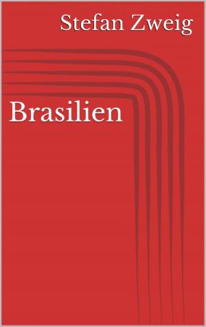 Cover of the book Brasilien by Ann Murdoch