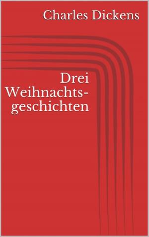 Cover of the book Drei Weihnachtsgeschichten by Jörg Bauer