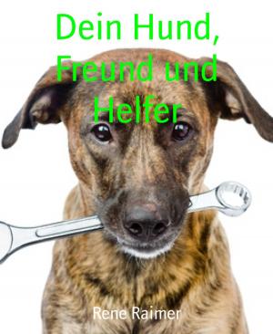 Cover of the book Dein Hund, Freund und Helfer by Alfred Bekker
