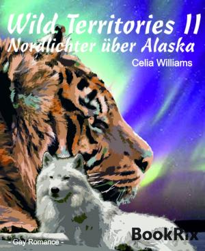Book cover of Wild Territories II - Nordlichter über Alaska