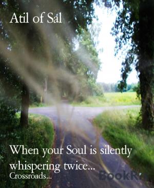 Cover of the book When your Soul is silently whispering twice... by Alastair Macleod