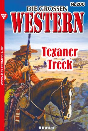 Cover of the book Die großen Western 200 by Gisela Reutling
