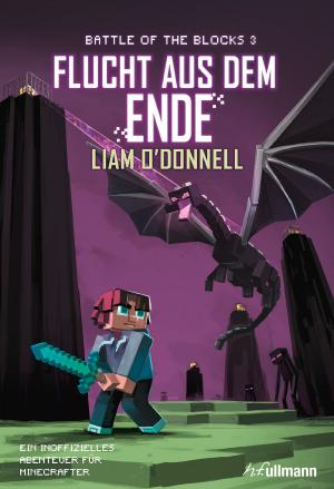 Cover of the book Flucht aus dem Ende: Battle of the Blocks Band 3 by Cube Kid