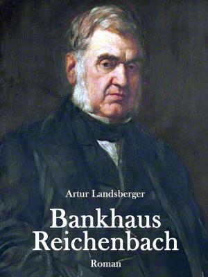 Cover of the book Bankhaus Reichenbach by Susanne Hottendorff