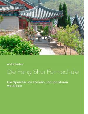 Cover of the book Die Feng Shui Formschule by Petra Liermann