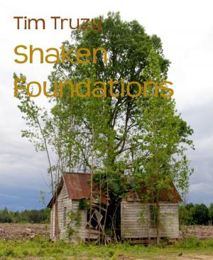 Cover of the book Shaken Foundations by Alfred J. Schindler