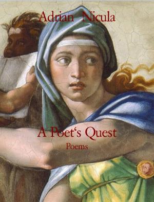 Cover of the book A Poet's Quest by Alexander York