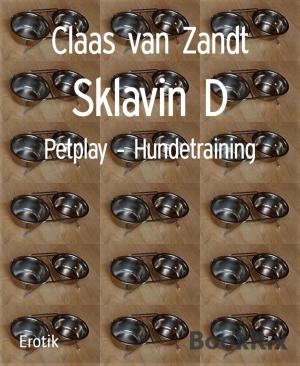 Cover of the book Sklavin D by Anne Hope