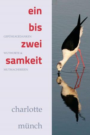 Cover of the book ein- bis zweisamkeit by Eva Berberich