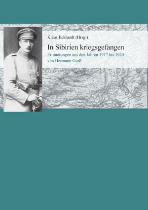 Cover of the book In Sibirien kriegsgefangen by Klaus Hinrichsen