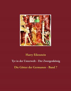 Book cover of Tyr in der Unterwelt - Der Zwergenkönig