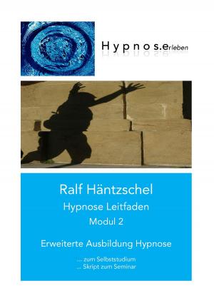 Cover of the book Hypnose Leitfaden Modul 2 by Guido Quelle