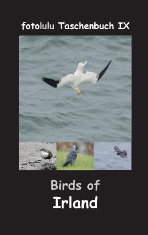 Book cover of Birds of Irland