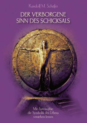 Cover of the book Der verborgene Sinn des Schicksals by Christoph Däppen