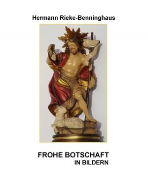 Cover of the book Frohe Botschaft in Bildern by Sebastian Tlatlik, Frank Rose, Katja Wörmer