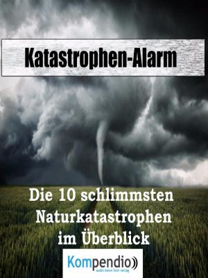 Cover of the book Katastrophen-Alarm: by Howard Evans