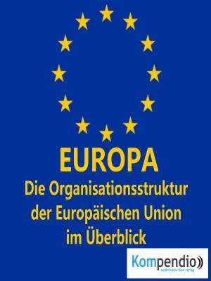 Cover of the book EUROPA (Politik kompakt) by Alfonso Lombana Sánchez