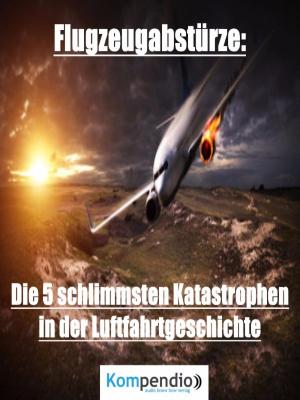 Cover of the book Flugzeugabstürze by Alexandre Dumas