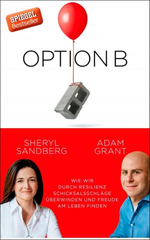 Cover of the book Option B by Chris Carter