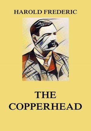Book cover of The Copperhead