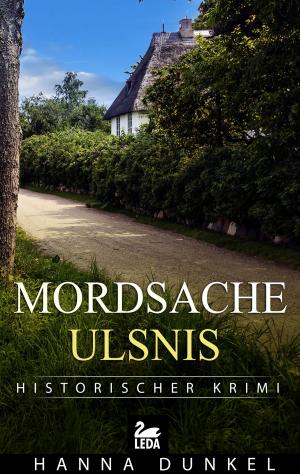 Cover of the book Mordsache Ulsnis: Schleswig-Holstein-Krimi by Peter Gerdes