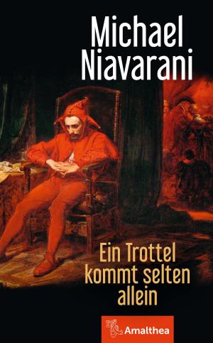 Cover of the book Ein Trottel kommt selten allein by Michaela Lindinger