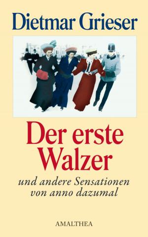 Cover of the book Der erste Walzer by Georg Markus