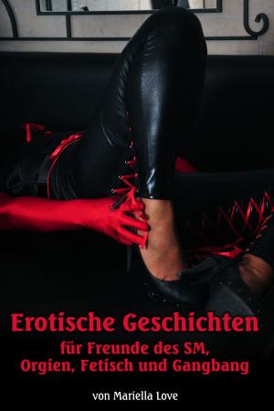 Cover of the book Erotische Geschichten für Freunde des SM, Orgien, Fetisch und Gangbang by Conny van Lichte