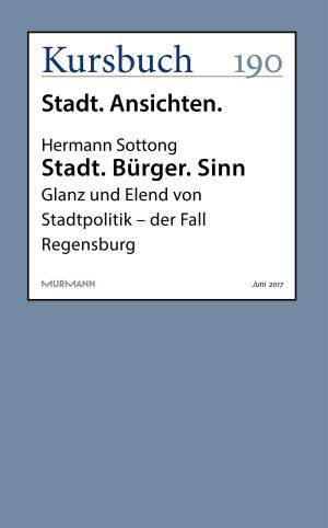 Cover of the book Stadt. Bürger. Sinn by Sibylle Lewitscharoff
