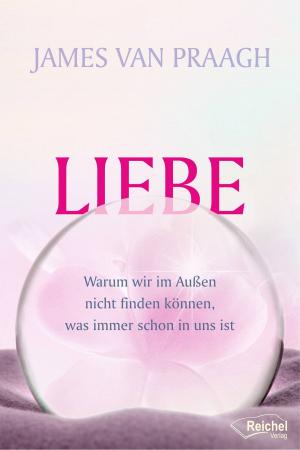 Book cover of Liebe