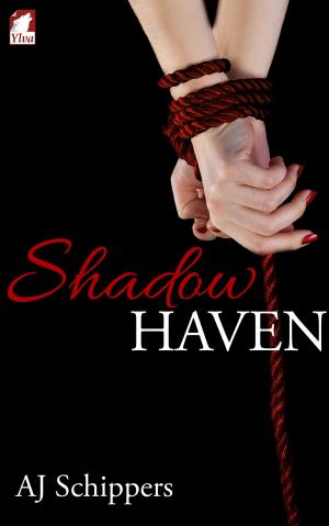 Cover of the book Shadow Haven by Fletcher DeLancey
