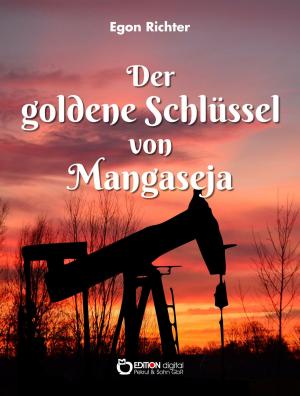 Book cover of Der goldene Schlüssel von Mangaseja