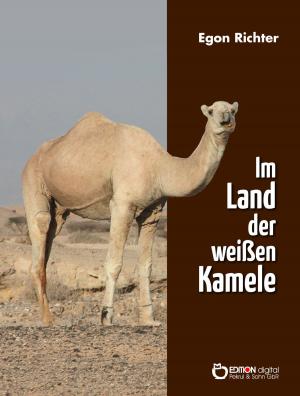 Book cover of Im Lande der weißen Kamele