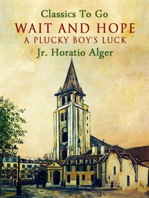 Cover of the book Wait and Hope by Karl May