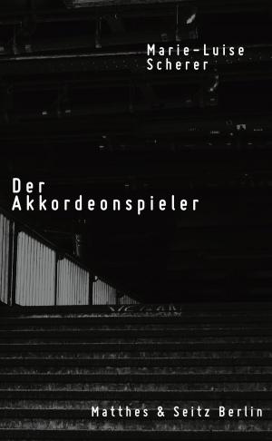 Cover of the book Der Akkordeonspieler by César Aira