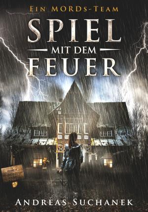 bigCover of the book Ein MORDs-Team - Band 17: Spiel mit dem Feuer (All-Age Krimi) by 