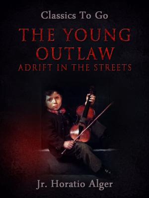 Book cover of The Young Outlaw