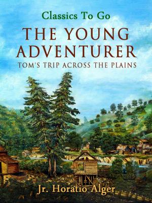 Cover of the book The Young Adventurer by W. Patterson Atkinson, Washington Irving, Edgar Allan Poe, Nathaniel Hawthorne, Francis Bret Harte, Robert Louis Stevenson, Rudyard Kipling