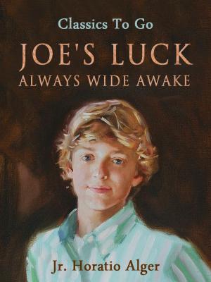Cover of the book Joe's Luck by Edgar Allan Poe