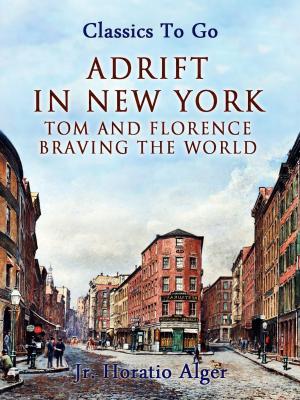Book cover of Adrift in New York