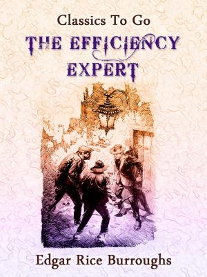 Cover of the book The Efficiency Expert by Allan Balzano