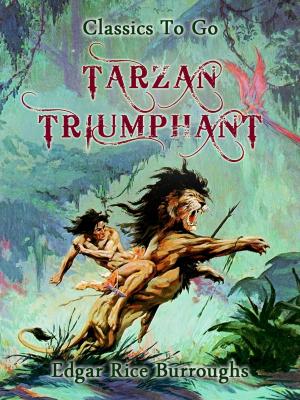 Cover of the book Tarzan Triumphant by Hugo Ball