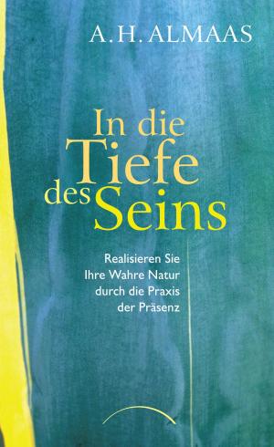 Cover of In die Tiefe des Seins