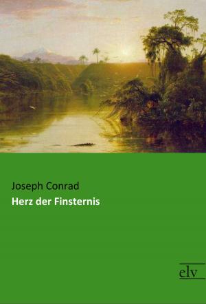 Cover of the book Herz der Finsternis by August Strindberg