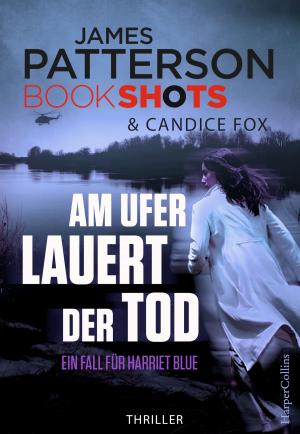 Cover of the book Am Ufer lauert der Tod by Robert Capko