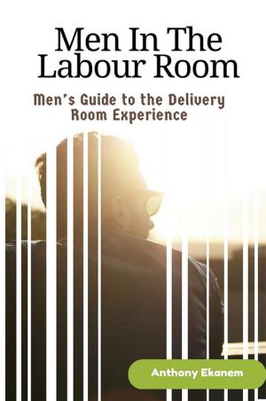 Book cover of Men in the Labour Room