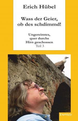 Cover of the book Wass der Geier, ob des schdimmd! by Ricarda Stöckel
