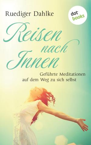 Cover of the book Reise nach Innen by Friedrich Ani