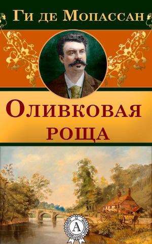 Cover of the book Оливковая роща by Константин Паустовский